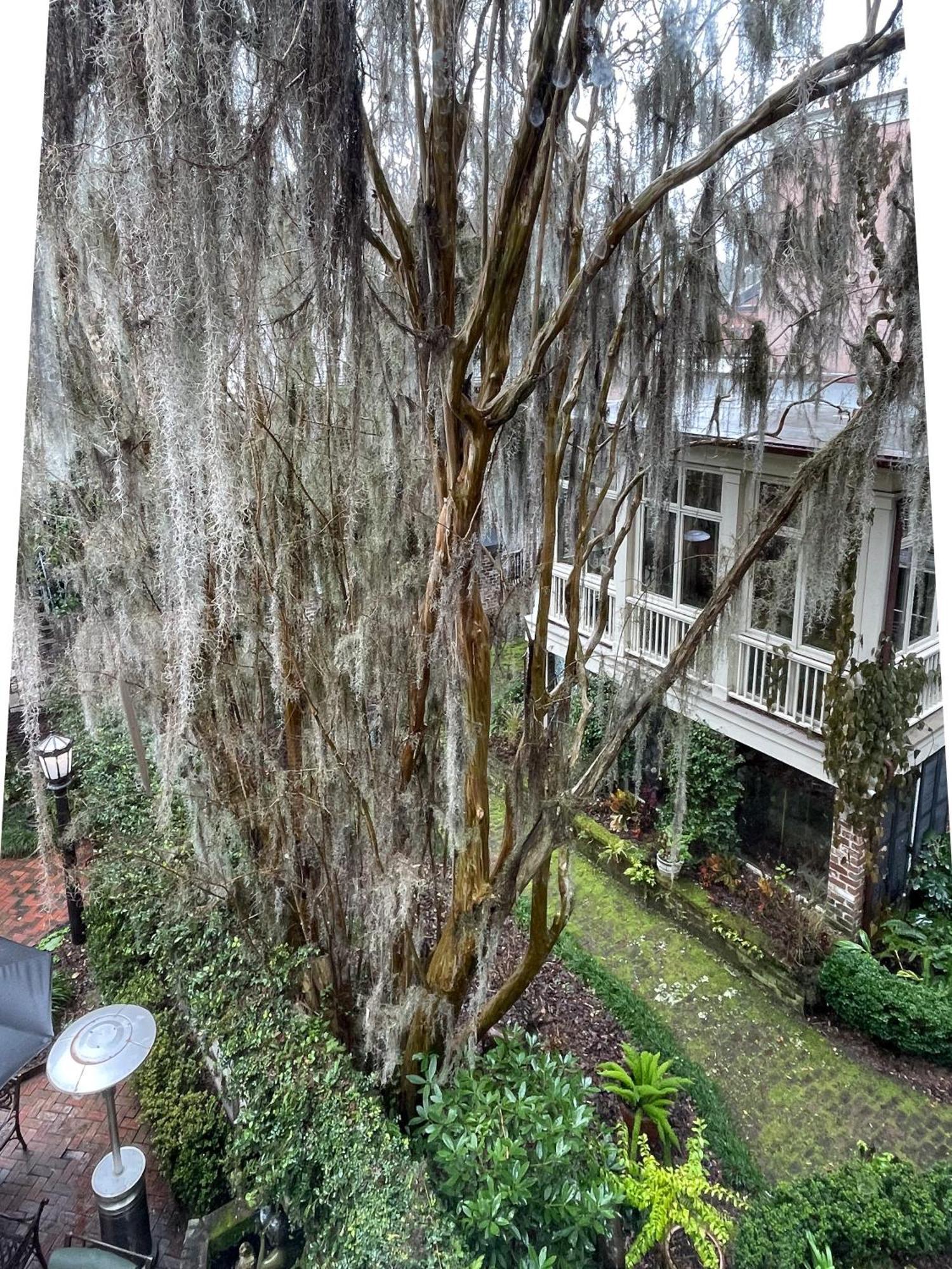 Eliza Thompson House, Historic Inns Of Savannah Collection (Adults Only) Exterior photo
